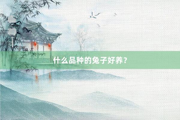 什么品种的兔子好养？
