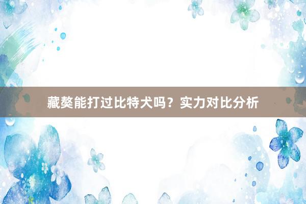 藏獒能打过比特犬吗？实力对比分析